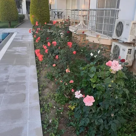 Palmbeach Site * Fethiye